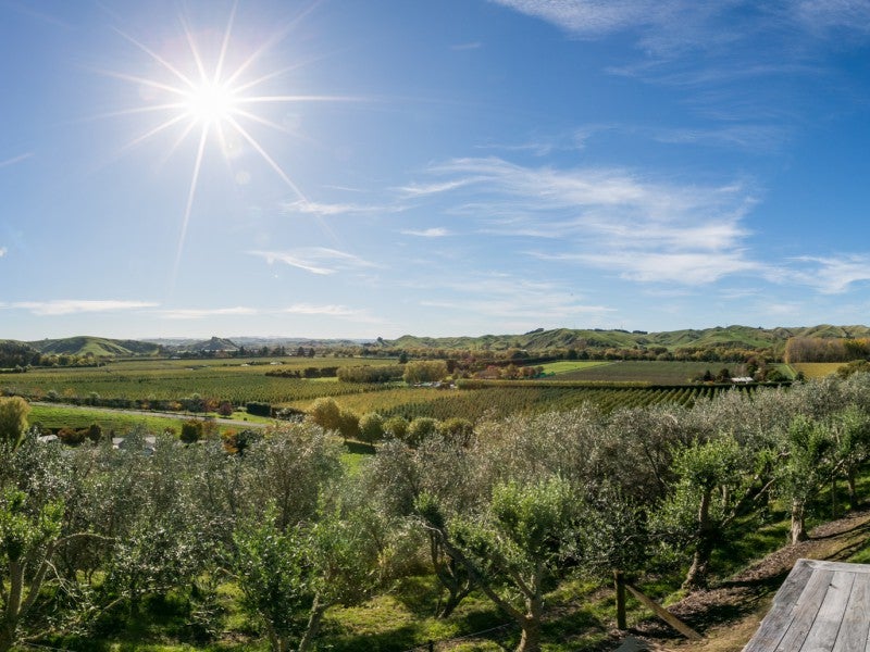 191 Breckenridge Road, Puketapu - Carousel 21