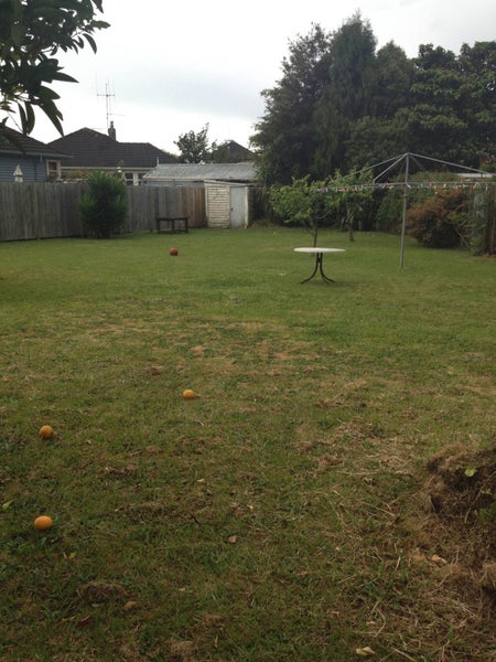 9A Le Quesne Place, Fairfield, Hamilton - Carousel 3