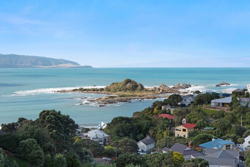 19 Oku Street, Island Bay, Wellington - Carousel 1