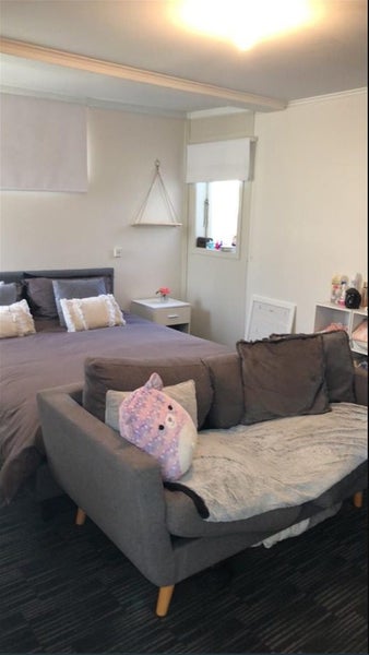 115 Austin Street, Mount Victoria, Wellington - Carousel 13