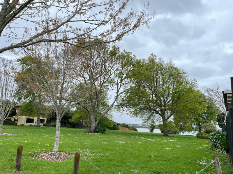 146 Walter Strevens Drive, Conifer Grove, Takanini - Carousel 24