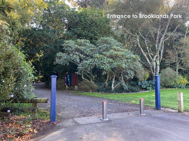 8 Exeter Street, Brooklands, New Plymouth - Carousel 21