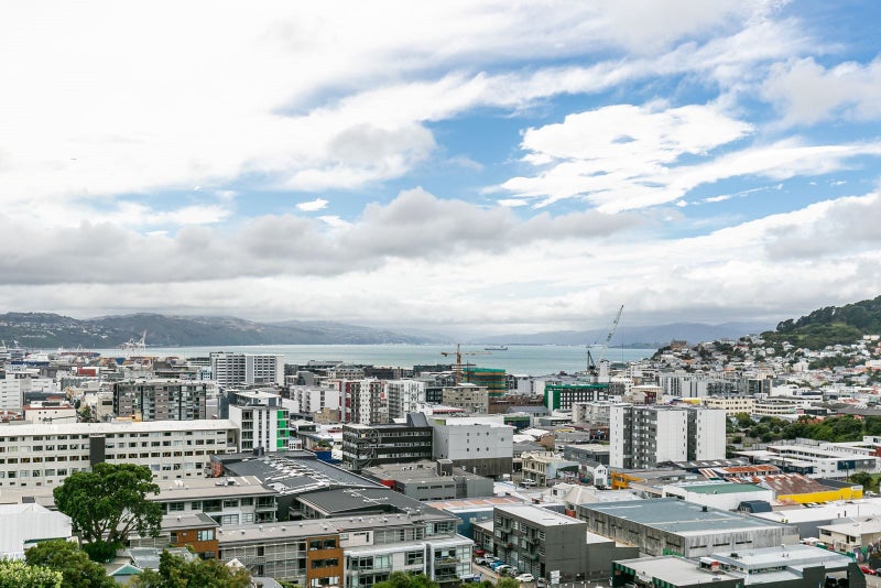 59 Thompson Street, Mount Cook, Wellington - Carousel 25