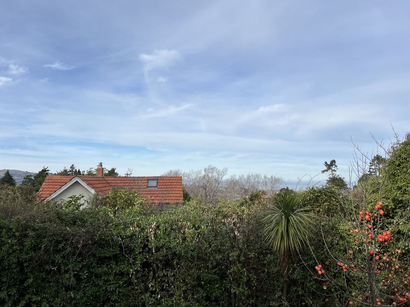 45 Leven Street, Roslyn, Dunedin - Carousel 2