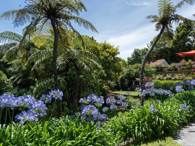 24 Messines Road, Karori, Wellington - Carousel 2
