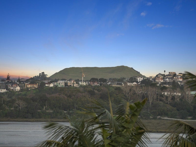 2/12 Crescent Road, Parnell, Auckland - Carousel 29