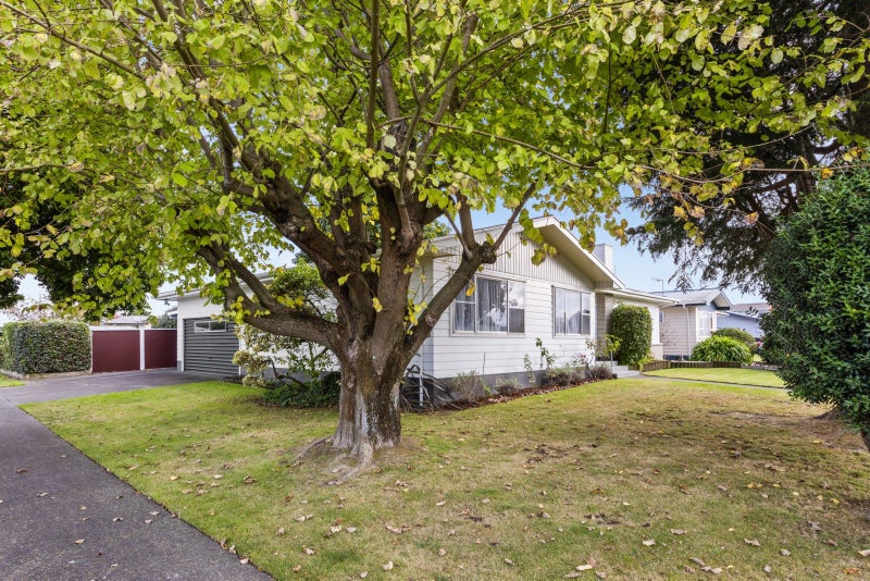 43 James Foley Avenue, Pirimai, Napier - Carousel 16