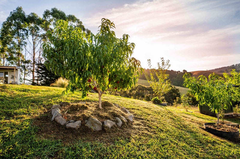 73 Bayer Road, Silverdale - Carousel 22