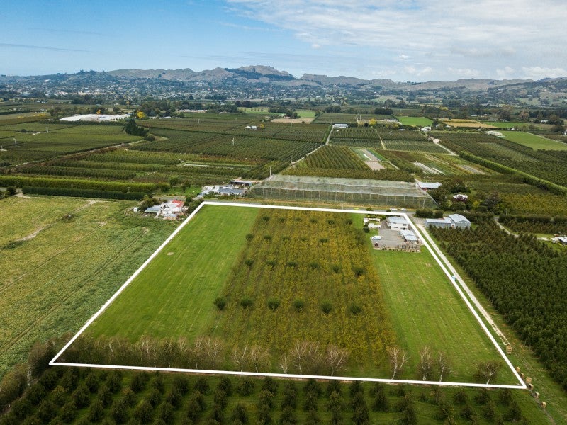 945 Norton Road, Longlands, Hastings - Carousel 15