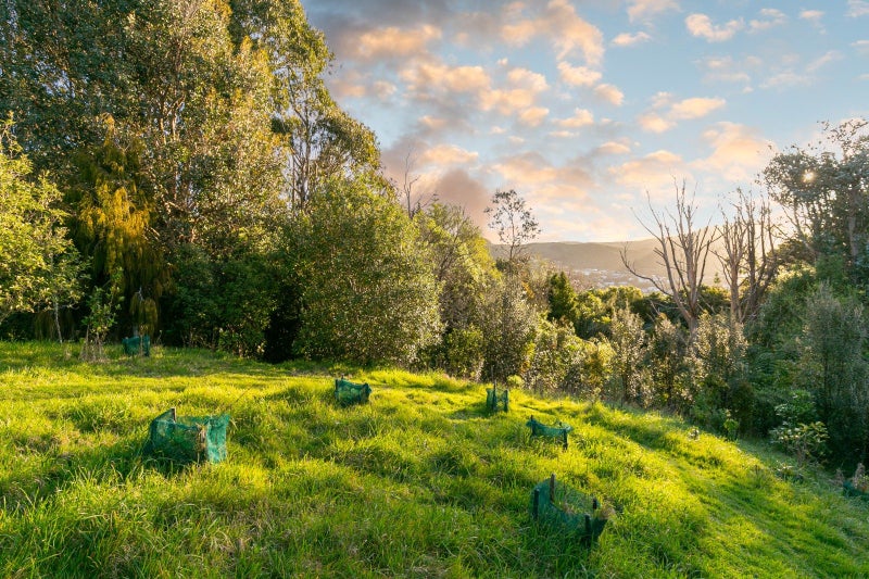 30 Gladys Scott Place, Tawa, Wellington - Carousel 2