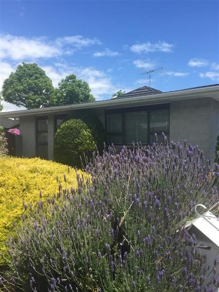 1/152 MILTON ST, The Wood, Nelson - Carousel 1