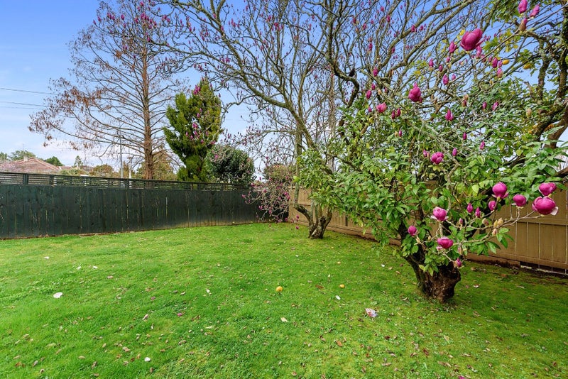 83 Ellicott Road, Nawton, Hamilton - Carousel 20