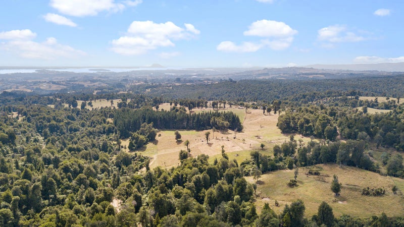 1046 Work Road, Whakamārama - Carousel 20