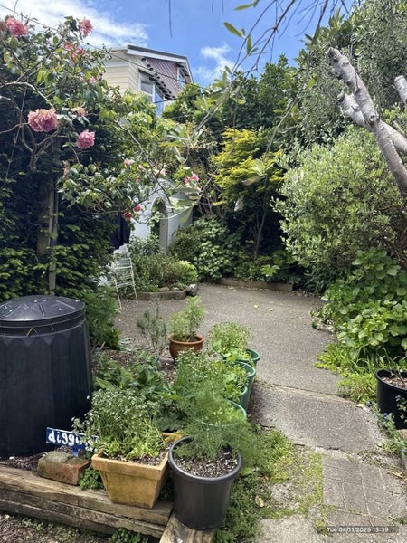 53 Hawker Street, Mount Victoria, Wellington - Carousel 2