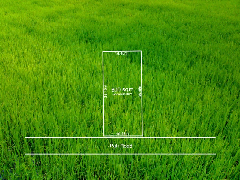 133 Pah Road, Cockle Bay, Auckland - Carousel 4