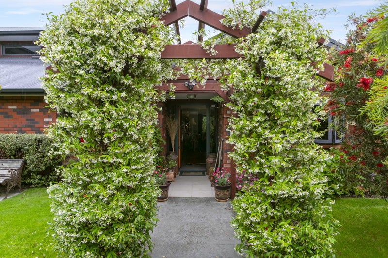 38 Logan Avenue, Wharewaka, Taupo - Carousel 20