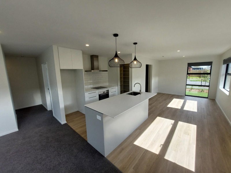 14 John Gibb Street, Belfast, Christchurch - Carousel 2