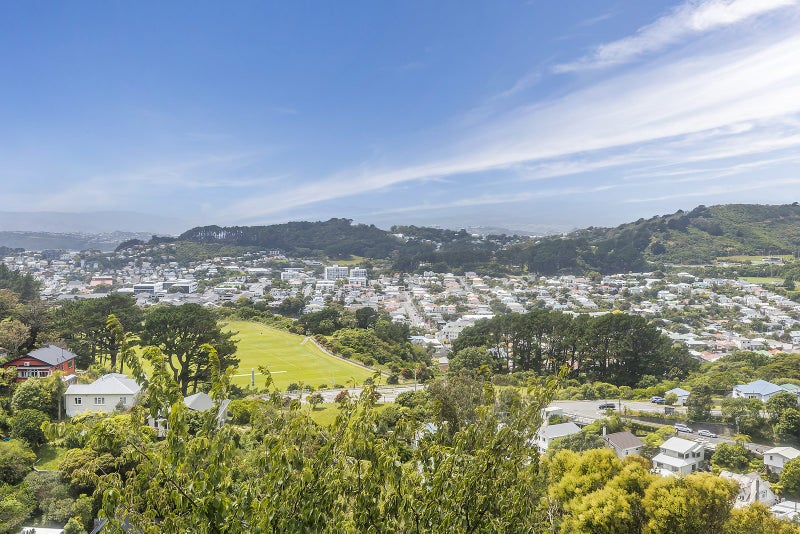 82 Farnham Street, Mornington, Wellington - Carousel 21