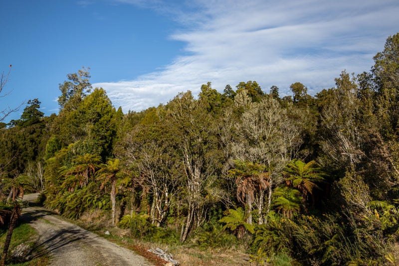 556 Blue Spur Road, Arahura Valley - Carousel 21