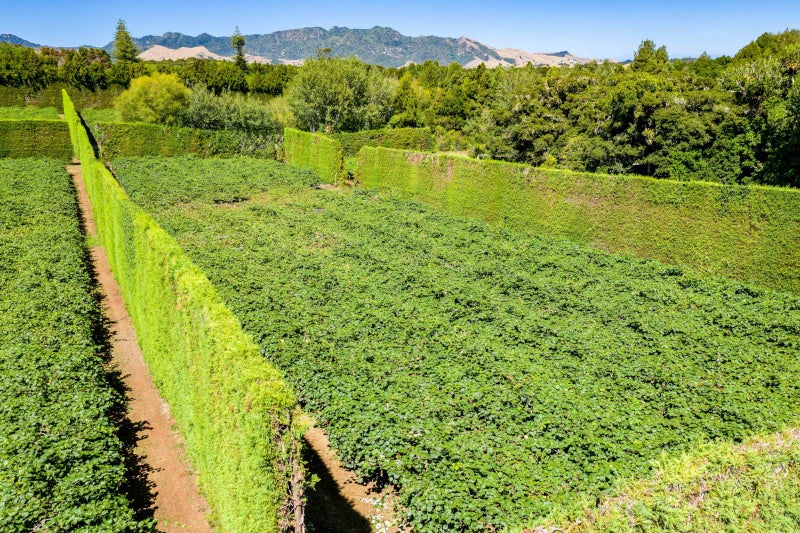 0 Whatitiri Road, Maungatapere, Whangarei - Carousel 17