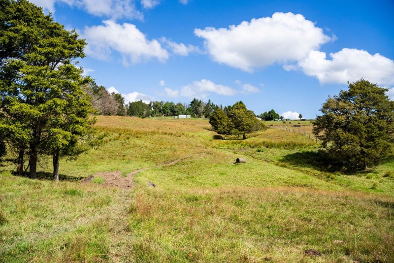 136 Knight Road, Whangarei - Carousel 39