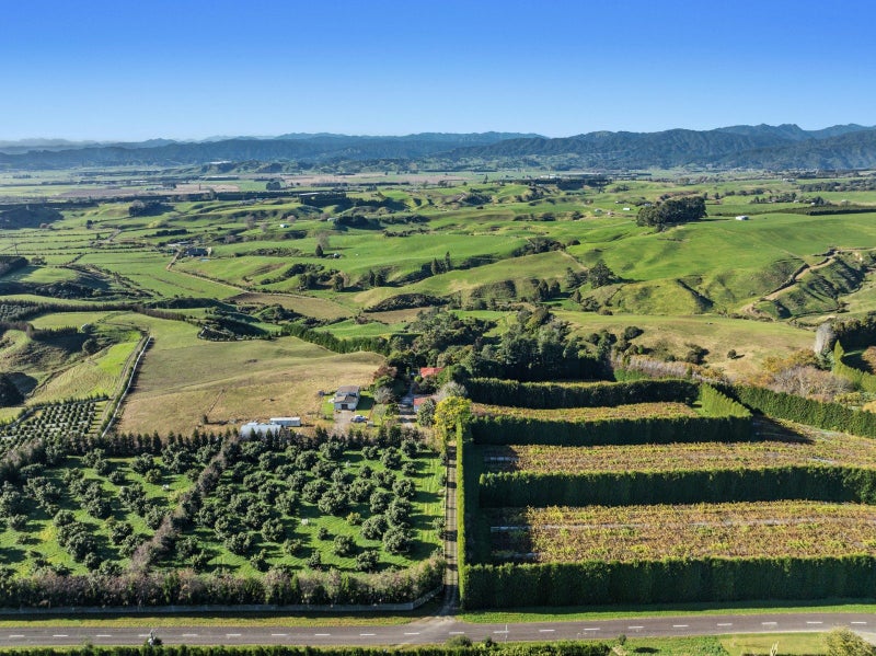 205 Mccarthy Road, WAIOTAHE, OPOTIKI - Carousel 31