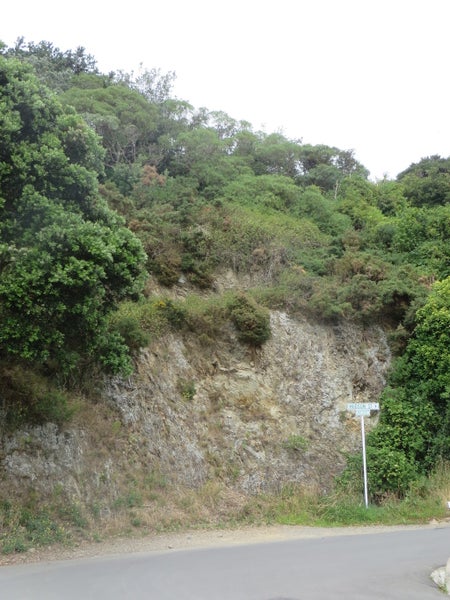 26C Arun Crescent, Southgate, Wellington - Carousel 2