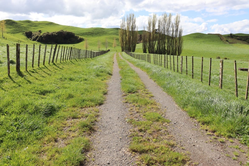 1289 Ahuroa Road, Makarau, Warkworth - Carousel 1