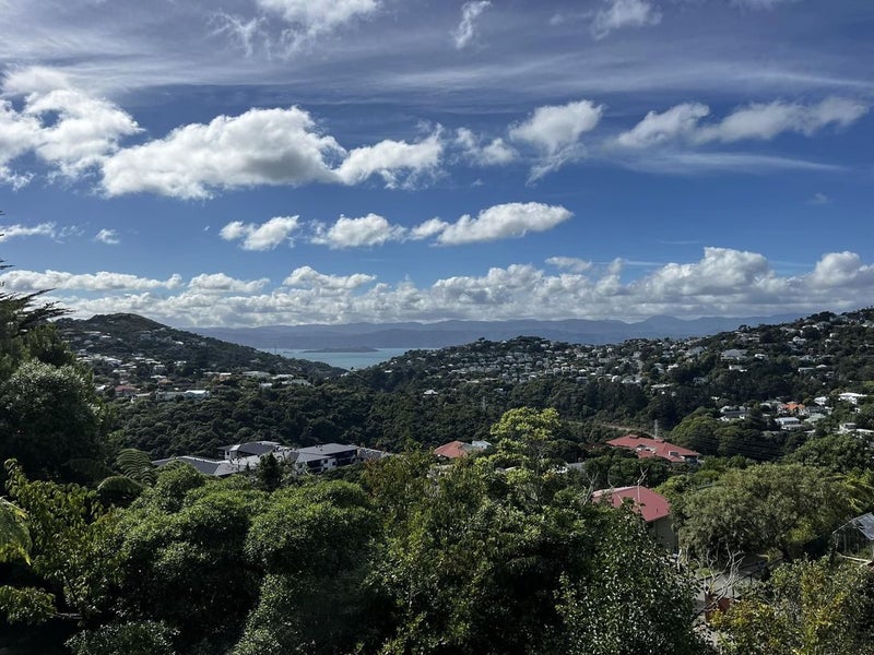 3B Jerome Way, Crofton Downs, Wellington - Carousel 12