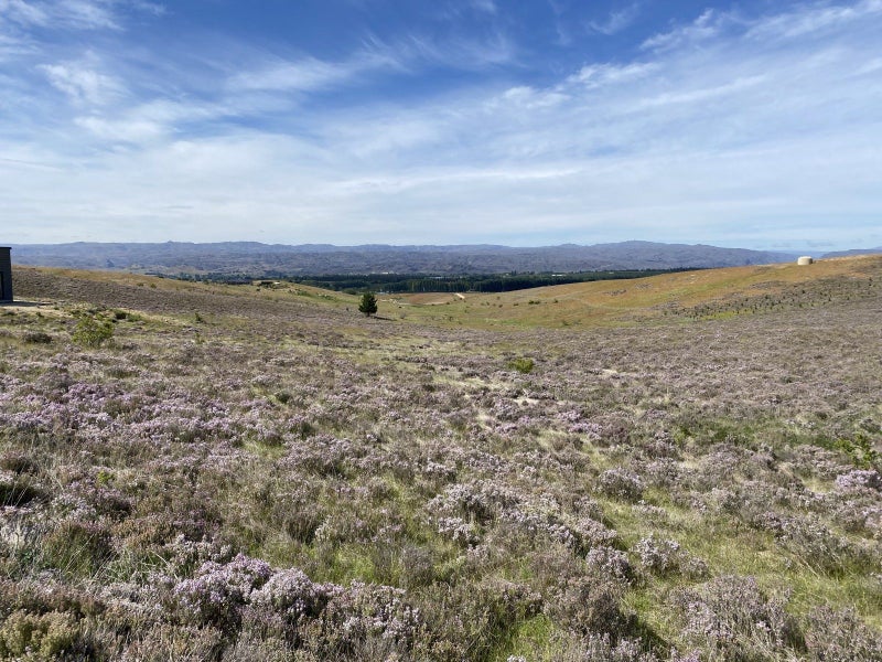 0 Sim Road, Paerata, Papakura - Carousel 1