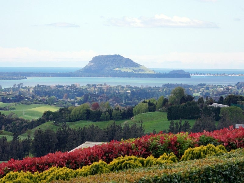 567B Esdaile Road, Whakamārama - Carousel 1