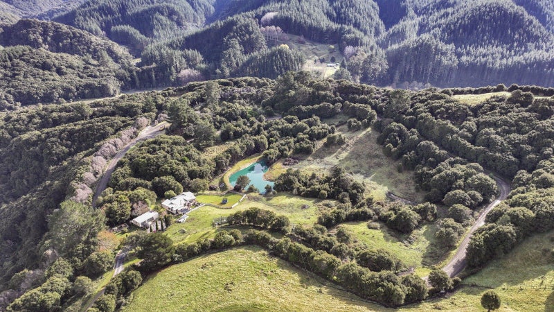 1079 Ellis Wallace Road, Eskdale, Napier - Carousel 26