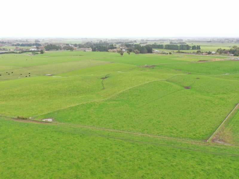 0 State Highway 3, Awahuri, Palmerston North - Carousel 2
