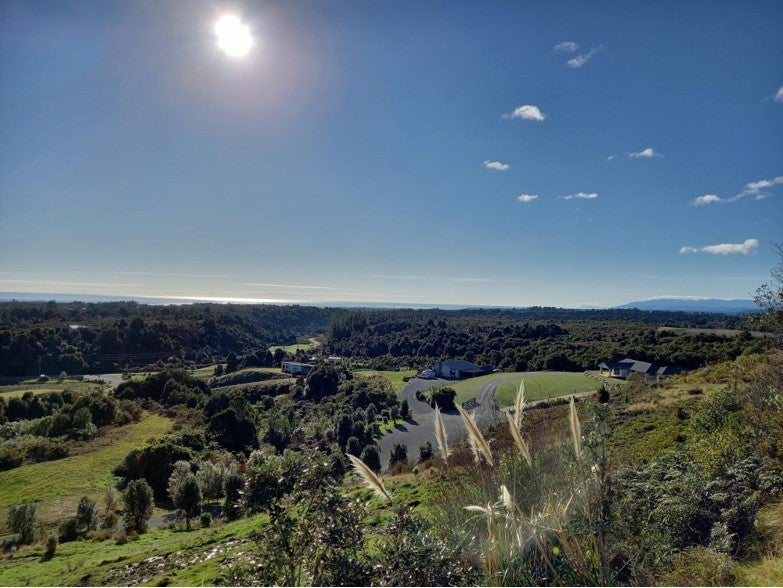 2 Middle Paddock, BLUE SPUR, HOKITIKA - Carousel 11