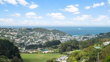 33 Whaui Street, Vogeltown, Wellington - Carousel 1