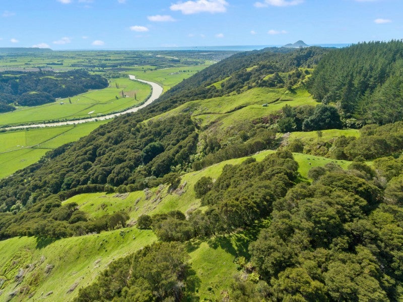 327 Taneatua Road, Taneatua - Carousel 1