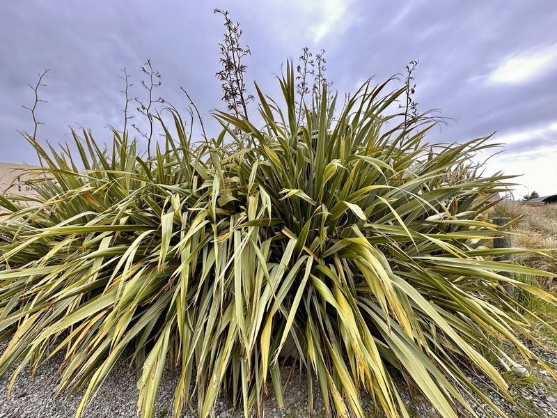 40B Temple Drive, Twizel - Carousel 10