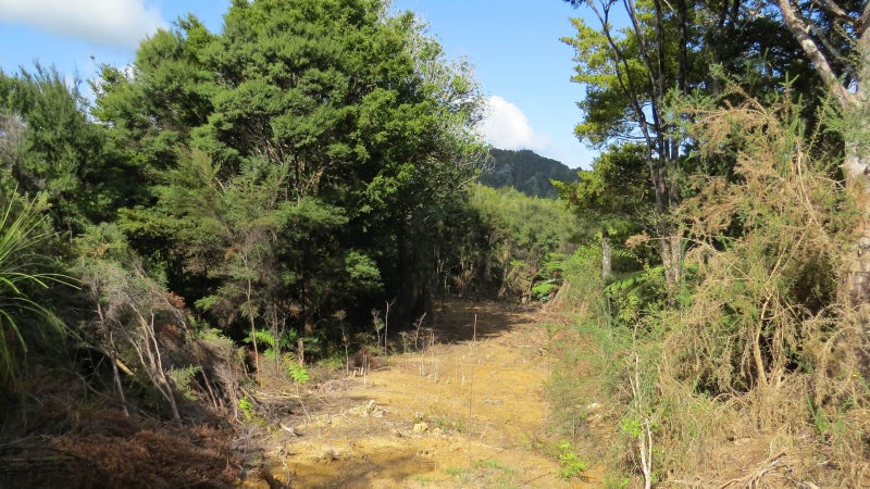 477 Pupuke Mangapa Road, Kaeo - Carousel 2