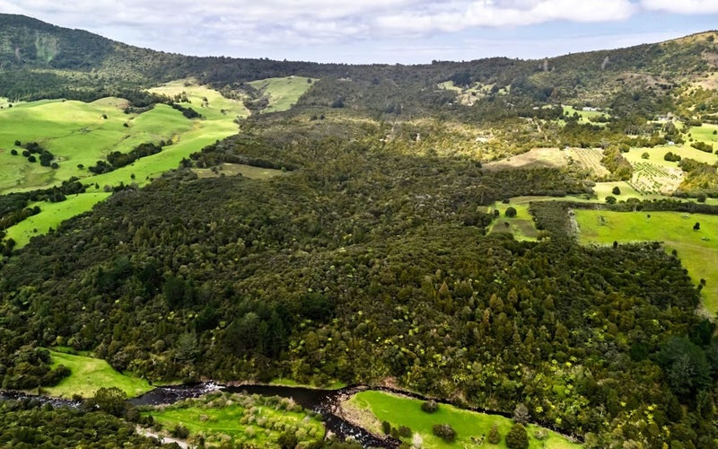 6754 State Highway 12, Waimamaku - Carousel 2