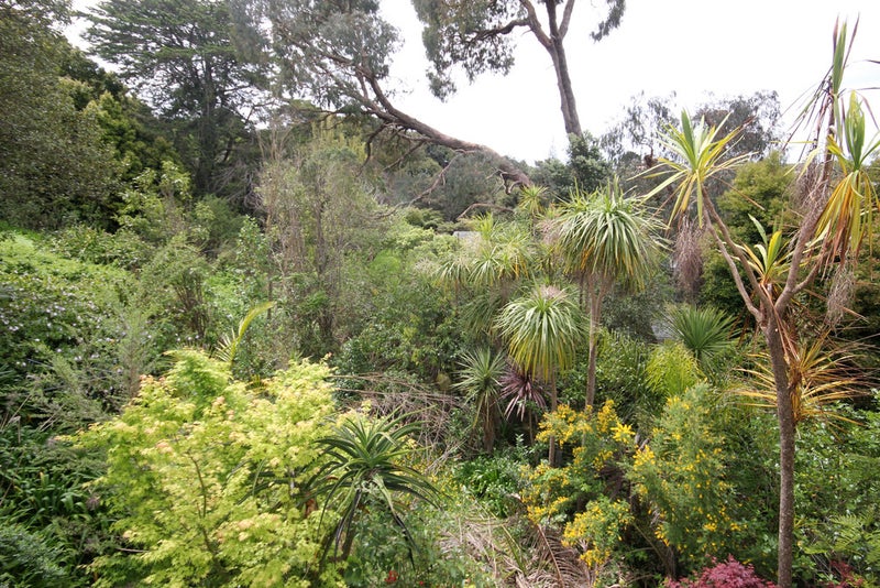 30 Girrahween Drive, Totara Vale, Auckland - Carousel 11
