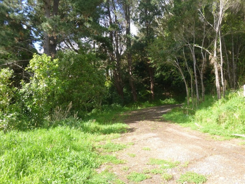 24 Kaimanawa Street, Paraparaumu - Carousel 1