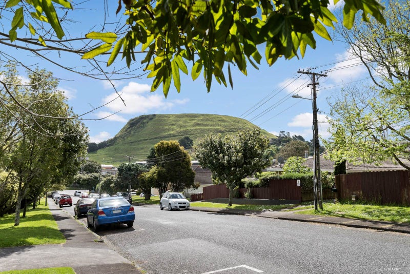 1L Green Road, Panmure, Auckland - Carousel 2