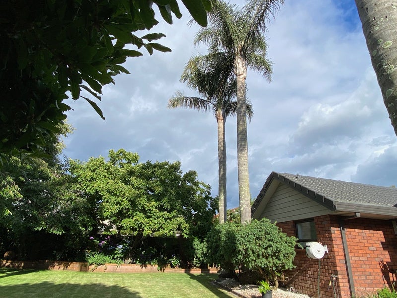 14 Talga Court, Conifer Grove, Takanini - Carousel 47