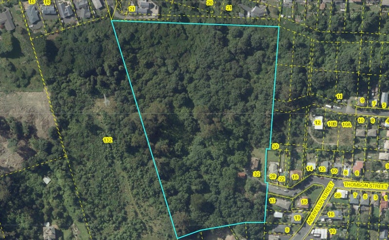 32 Thomson Street, Lookout Point, Dunedin - Carousel 29