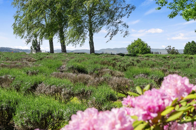 169 Brotherhood Road, Kihikihi, Te Awamutu - Carousel 50