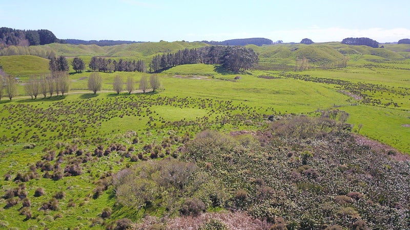 616 Frederick Street West, Mahora, Hastings - Carousel 18