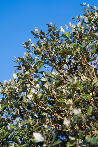 3 Blackmore Street, Lynmouth, New Plymouth - Carousel 16