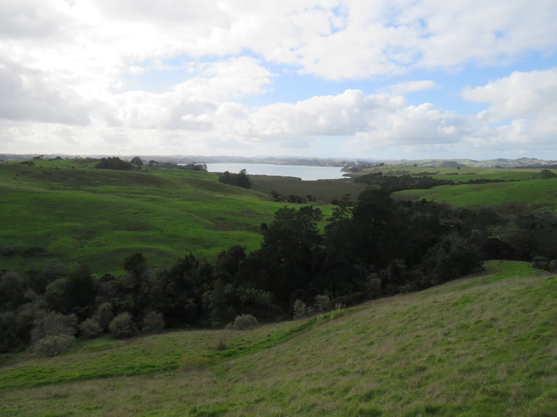 0 Hall Rd, Tinopai - Carousel 1