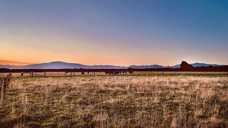 525 Barkers Road, Loburn, Rangiora - Carousel 1
