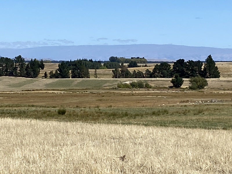 377 Timaru Creek Road, John Creek, Lake Hāwea - Carousel 2